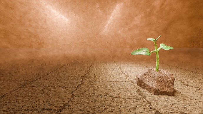 Contest WC Wasteland